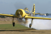 Yak-50 - F-AZYP