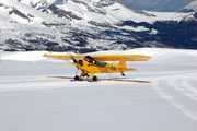 Piper J-3 Cub (F-PERB)