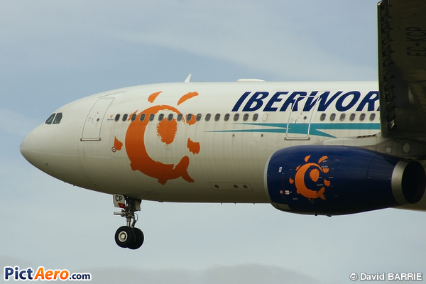 Airbus A330-343X (Iberworld Airlines)