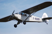 Piper PA-19