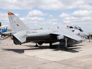 British Aerospace Harrier GR9 (ZD435)