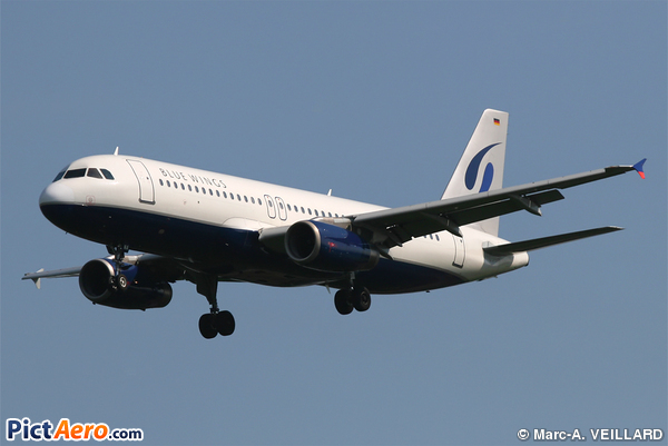 Airbus A320-233 (Blue Wings)