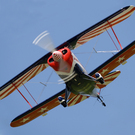 Pitts S-2B