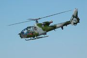 Westland SA-341B Gazelle AH1 (XX403)