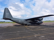 Lockheed CC130E Hercules (C-130E/L-382) (130316)