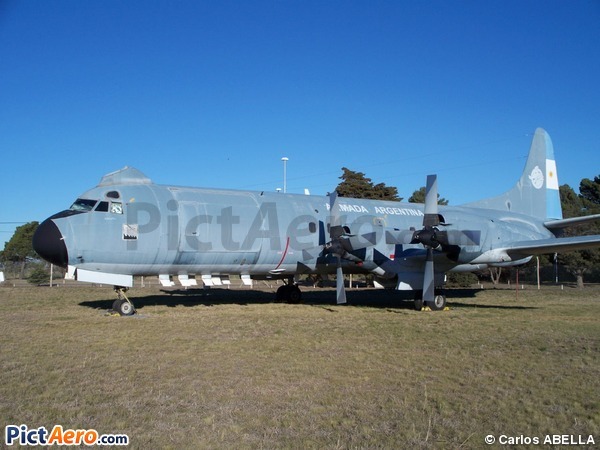Lockheed L-188A/F Electra (Argentina Marina)