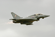 Eurofighter Typhoon en démonstration à Duxford