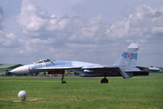 Sukhoi Su-27 (319)