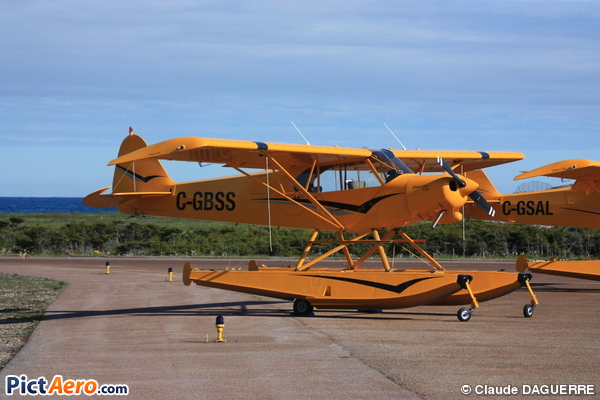 Piper PA-18 Super Cub Replica (Private / Privé)