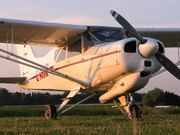 Beagle A-109 Airedale