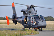 Eurocopter AS-365N-3 Dauphin 2