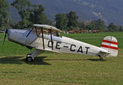Bücker Bü-131 Jungmann (OE-CAT)