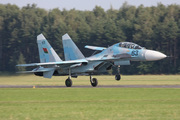 Sukhoi Su-27 (63)