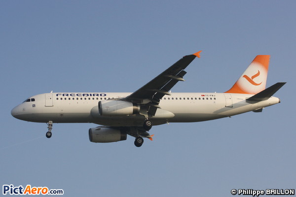 Airbus A320-232 (Free Bird Airlines)