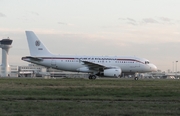 Airbus A319-113X CJ (FAV0001)