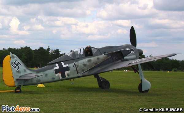 Focke-Wulf Fw-190A-8/N (Amicale Jean Baptiste Salis)