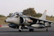 British Aerospace Harrier GR7 (ZD431)