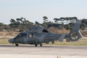 Eurocopter AS-565SA Panther