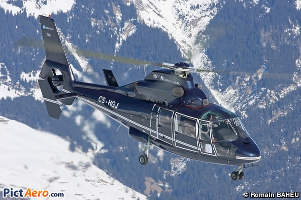 Eurocopter AS-365N-1 Dauphin 2 (Heliportugal)