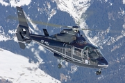 Eurocopter AS-365N-1 Dauphin 2 (CS-HGJ)