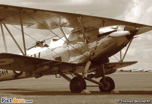 Hawker Hind (The Shuttleworth Collection)
