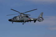 Eurocopter AS-365N-1 Dauphin 2 (318)