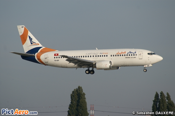 Boeing 737-3Q8 (Karthago Airlines)