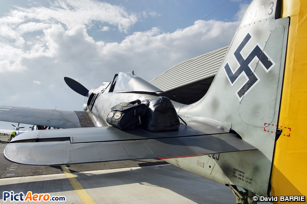 Focke-Wulf Fw-190A-8/N (Private / Privé)