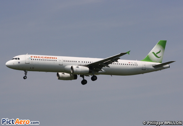 Airbus A321-131 (Free Bird Airlines)
