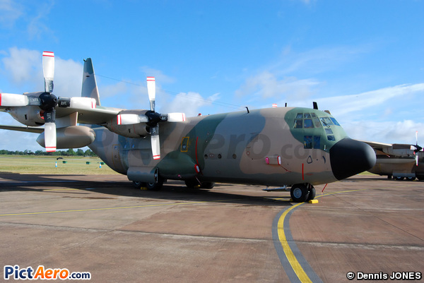 Lockheed C-130H Hercules (L-382) (Oman - Air Force)