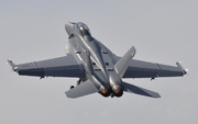 McDonnell Douglas/Boeing F/A-18E Super Hornet (166923)