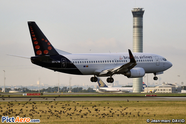 Boeing 737-3M8 (Brussels Airlines)