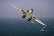 Grumman F-14A Tomcat (100)