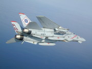 Grumman F-14A Tomcat (102)