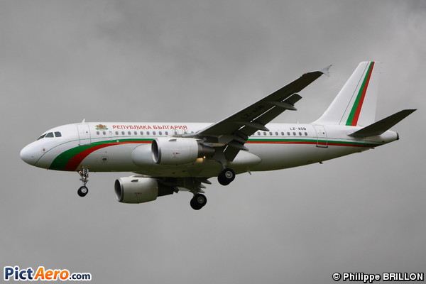 Airbus A319-111 (Bulgaria - Government)