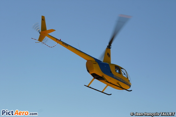Robinson R-44 Raven II (Professional Helicopter Services)