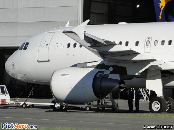 Airbus A319-115X/CJ (Tag Aviation Asia)