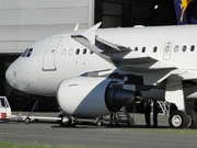 Airbus A319-115X/CJ (VQ-BKK)