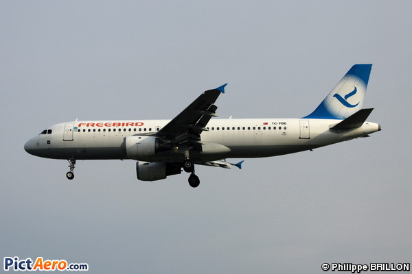 Airbus A320-212 (Free Bird Airlines)