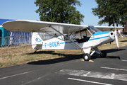 Piper PA-19