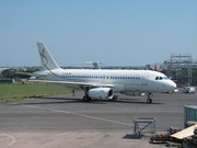 Airbus A319-133X/CJ (D-ADNA)