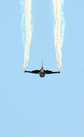 General Dynamics F-16A Fighting Falcon (93-352/SP)