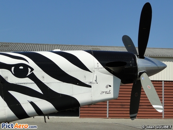 Pilatus PC-6/B2-H4 Turbo Porter (Ecole de Parachutisme Sportif de l'Ariège )