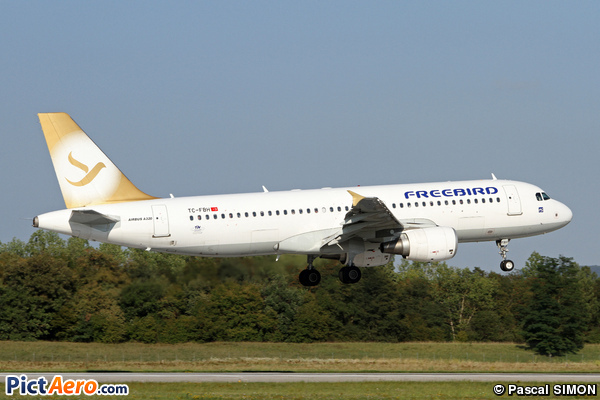 Airbus A320-214 (Free Bird Airlines)