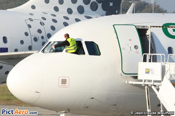 Airbus A319-112 (Germania)