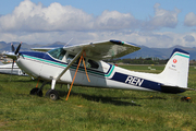 Cessna 180B Skywagon (ZK-REN)