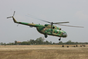 Mil Mi-17 (418)