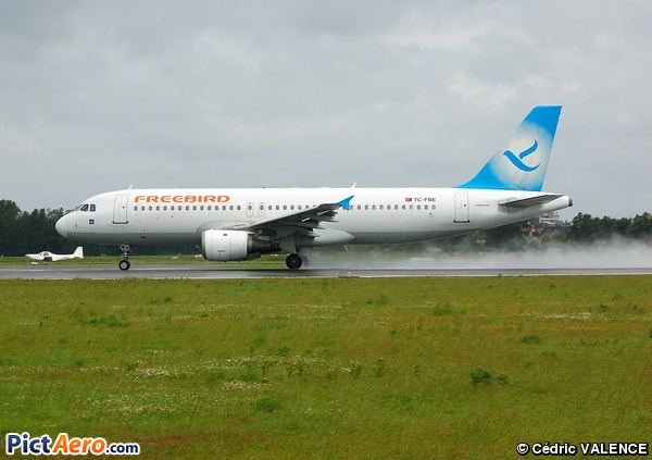 Airbus A320-212 (Free Bird Airlines)