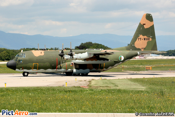 Lockheed C-130H Hercules (L-382) (Algeria - Air Force)