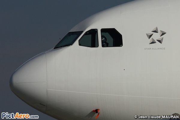 Airbus A330-343X (EgyptAir)